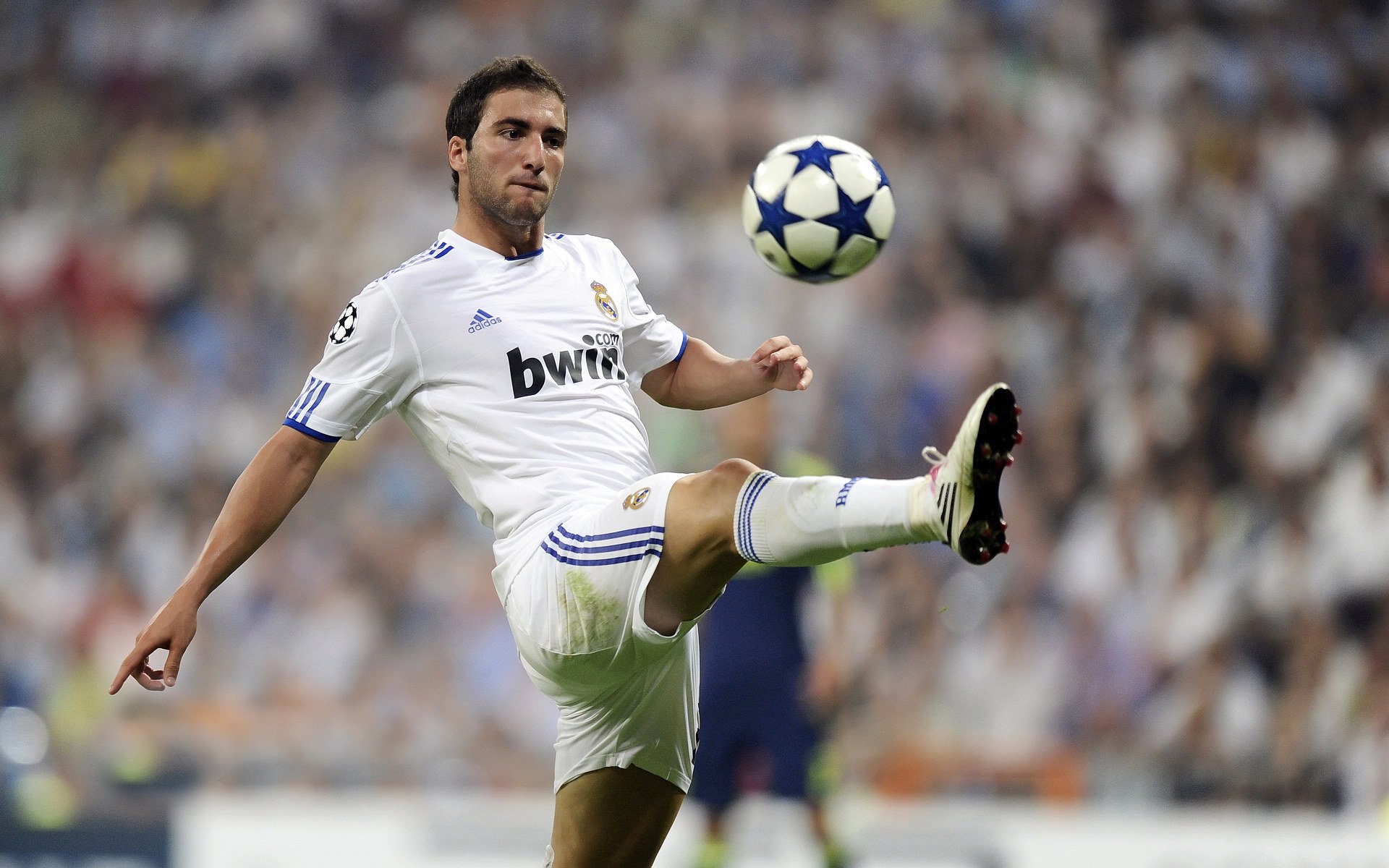 守望先锋 电竞市场持续扩张，守望先锋年度电竞游戏