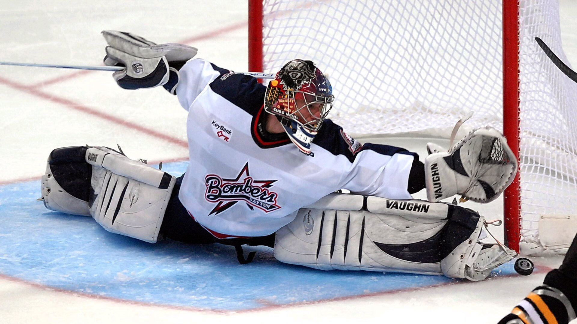 新星崛起：未来冠军的成长轨迹，新星崛起什么意思